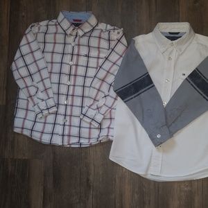 Tommy hilfiger Dress shirts